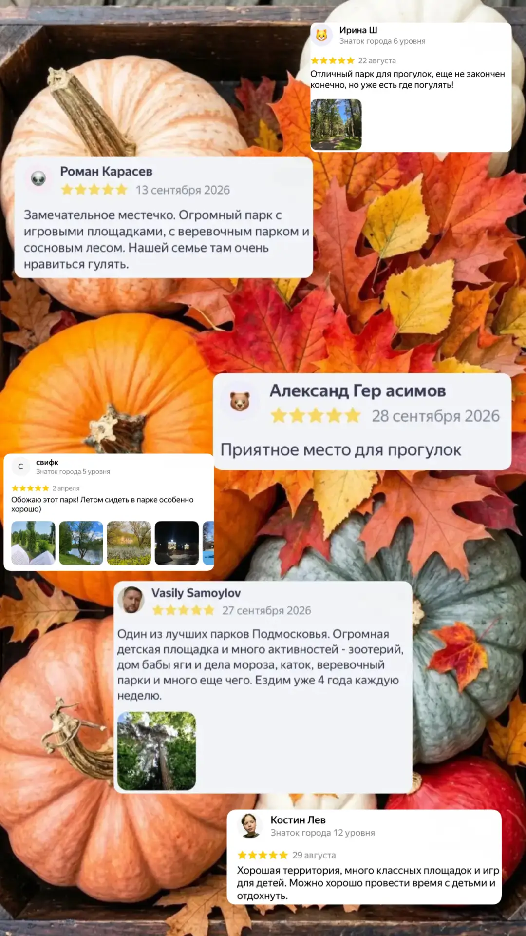 ✨ СПАСИБО ЗА ВАШИ ТЕПЛЫЕ СЛОВА