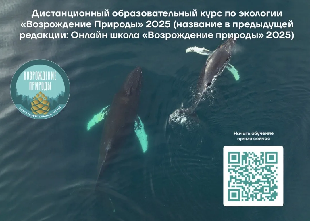 🌿А вы уже получили новые знания в области экологии?
