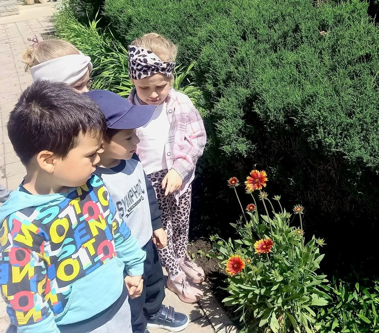 🐝 Экологическая экспедиция группы «Пчёлки»: сколько цветов живёт в нашем «Колокольчике...