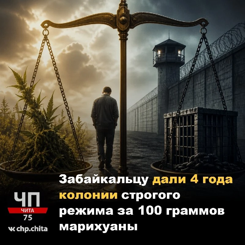 🚓 Забайкалец получил четыре года колонии строгого режима за 100 граммов марихуаны