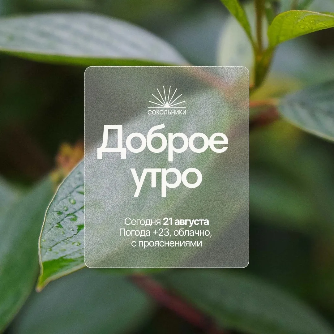 Доброе утро 🌥