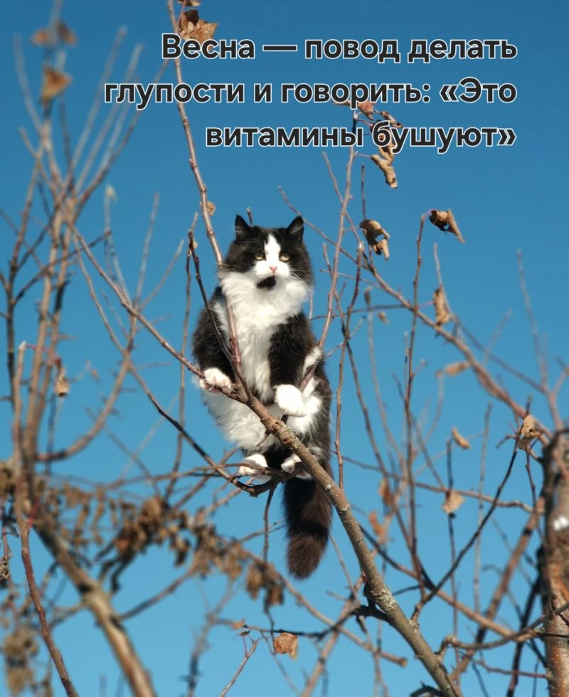 Солнечных Вам выходных ☀