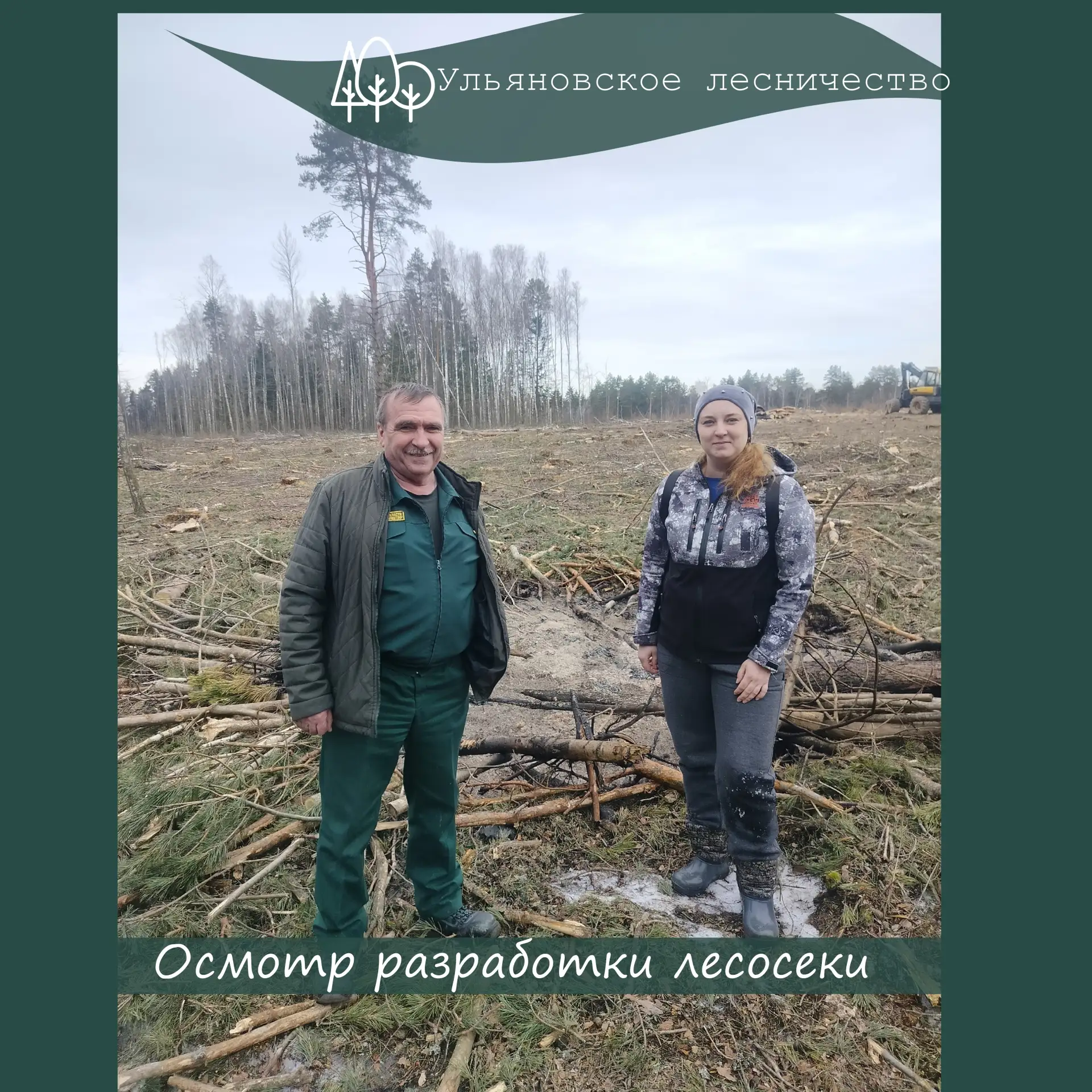 🌲 В лесу кипит работа — и мы за ней следим!