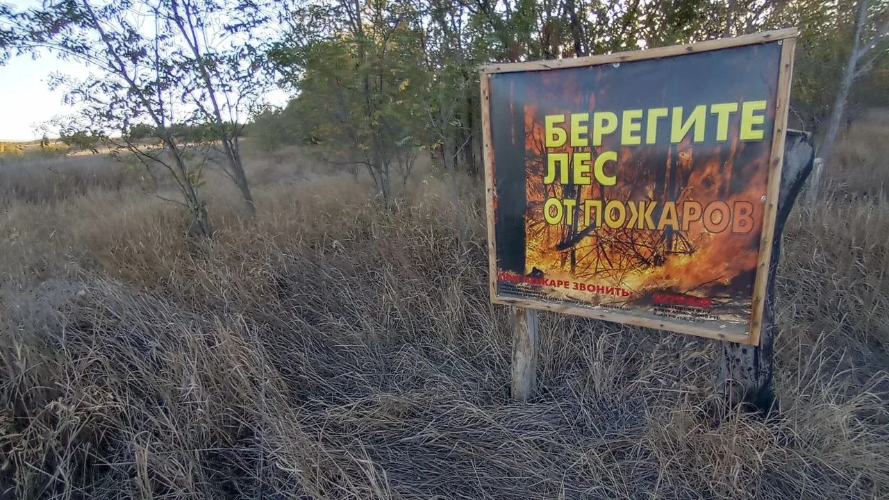 100 гектаров сухой травы сгорели за один пожар в Ровенском районе