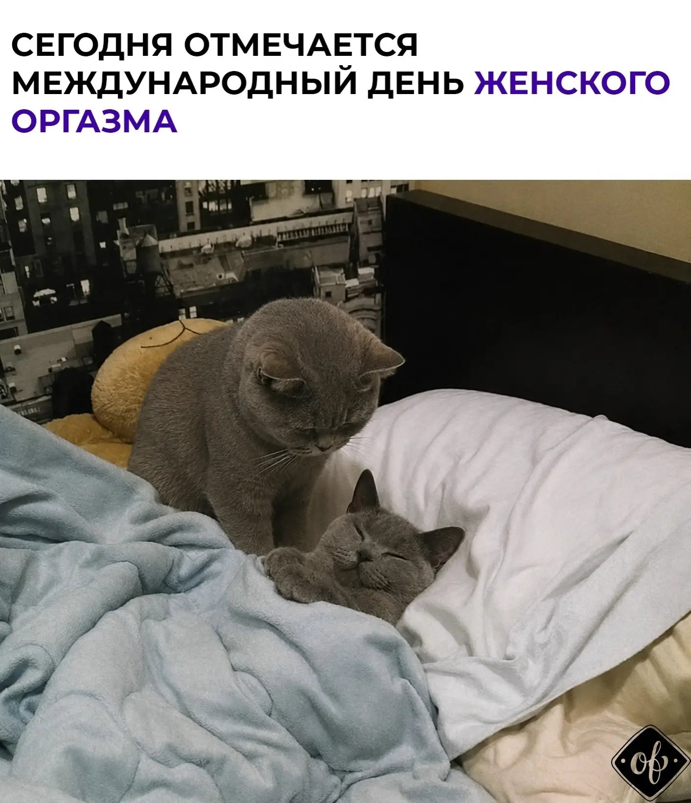 Ты знaeшь, кoгo пoздpaвить