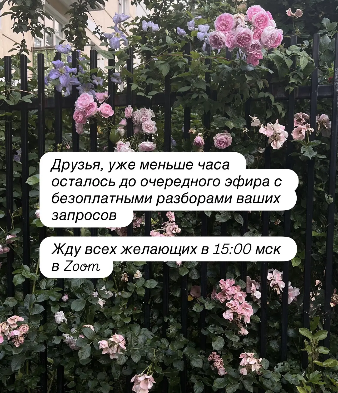 Ссылочка на вход в Zoom конференцию выложена в комментариях к предыдущему посту