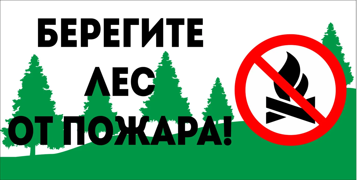 📢Берегите лес от пожара! 🌲🌳🍄Лес – это источник жизни, бесценная кладовая природы, защитник человека 