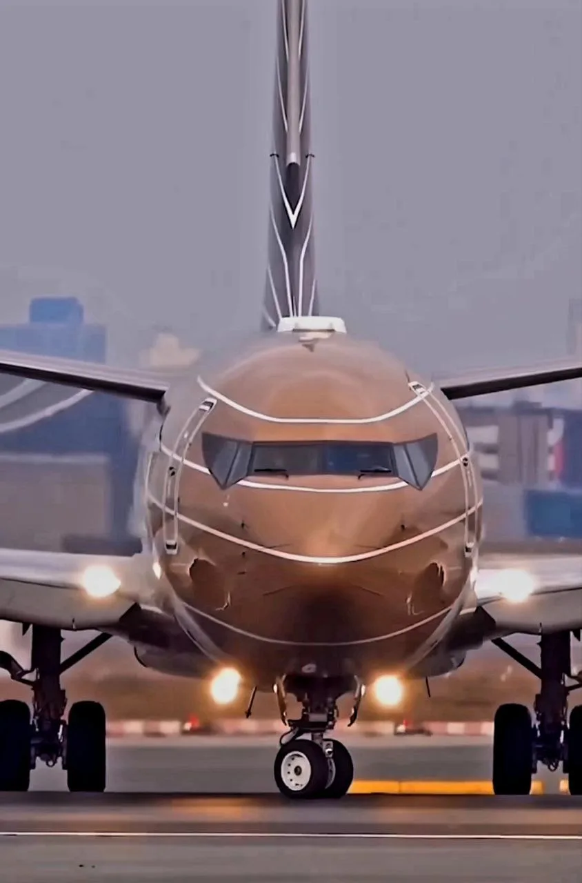 Такая ливрея вам к лицу, Мистер Боинг ✈️