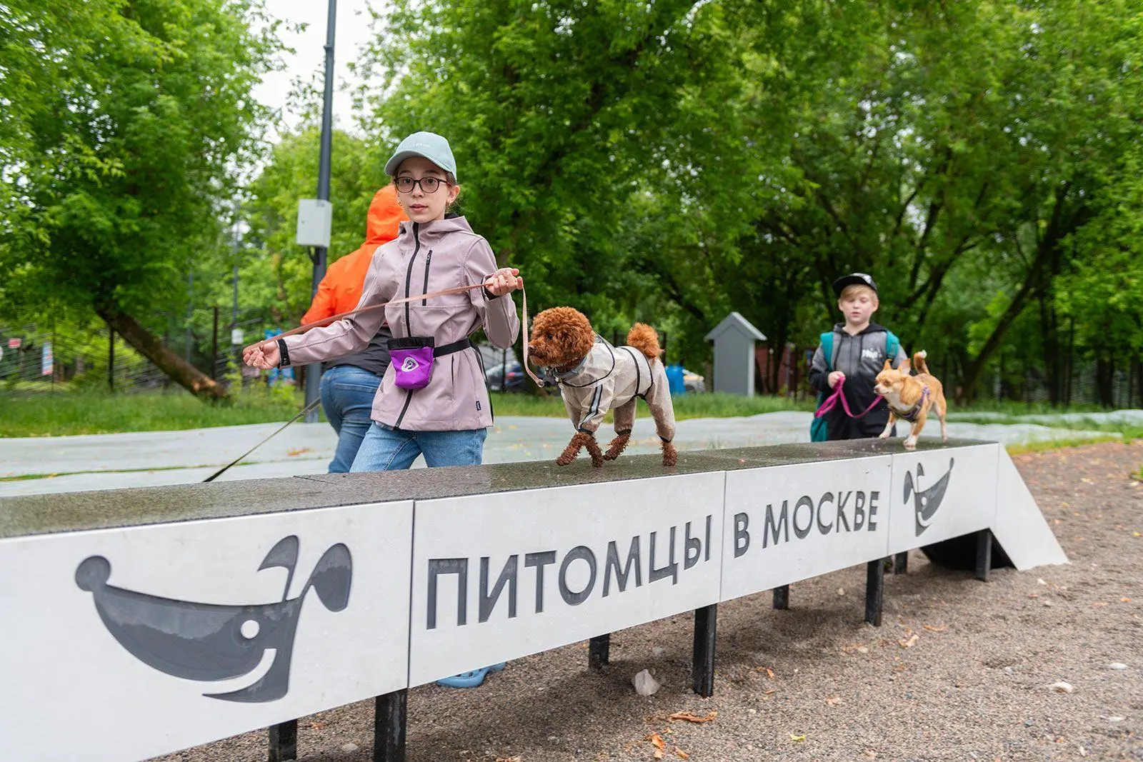 В Москве открыли набор на осенний курс «Школы кинолога» 🐶
