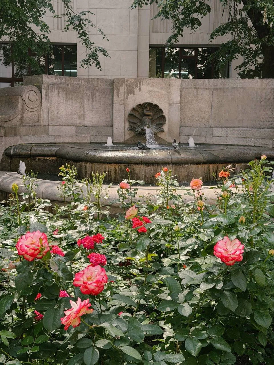 Атмосферный «Итальянский дворик» 🌸

📍Воздвиженка, 3/5с3