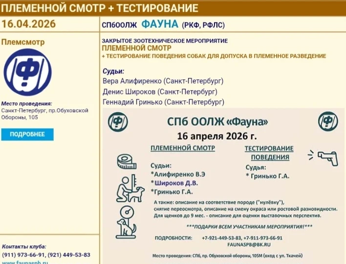 Медиа публикации