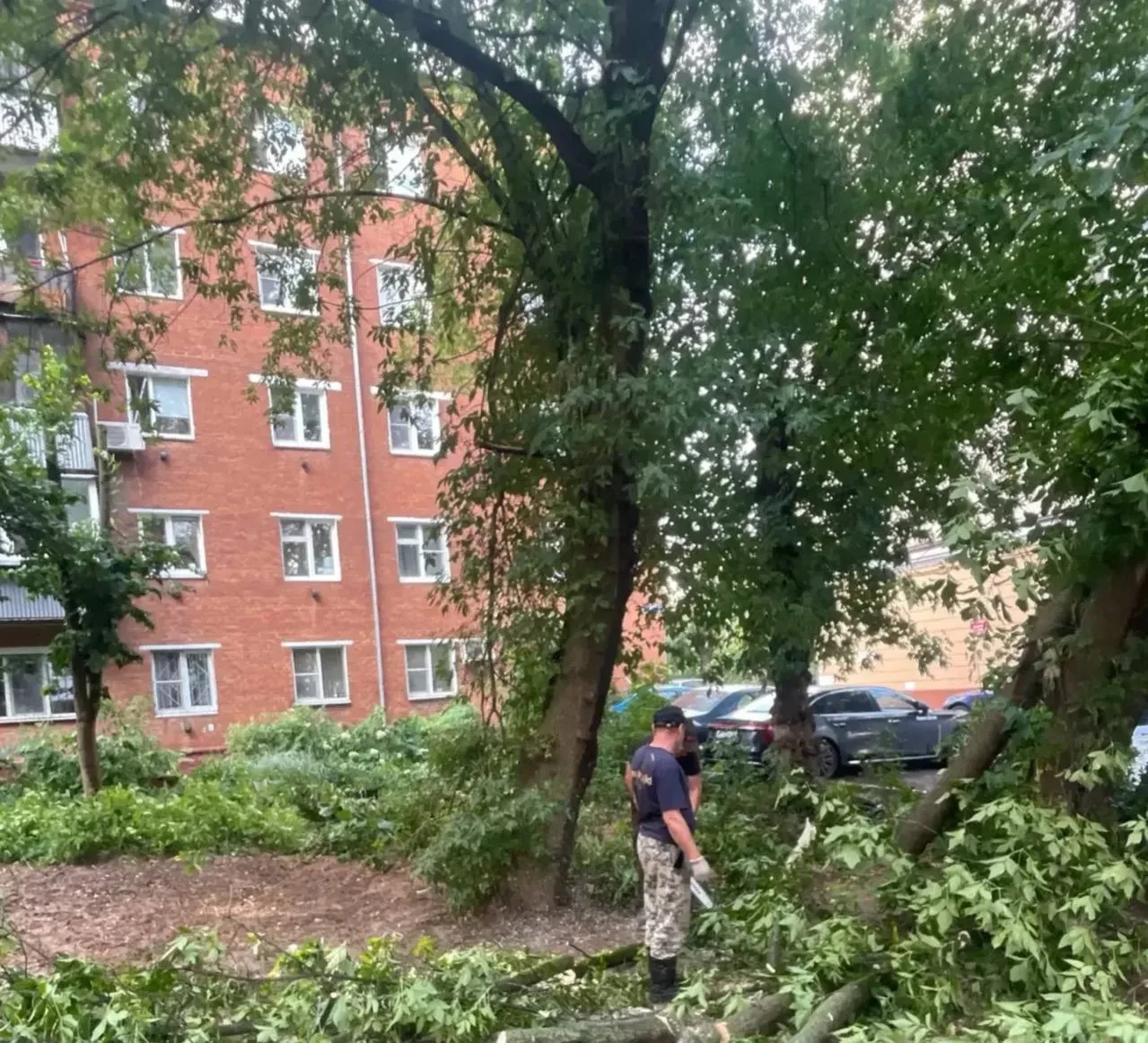 На улице Барамзиной в Подольске ведутся работы по распиловке и уборке упавших ветвей дерева

На мест