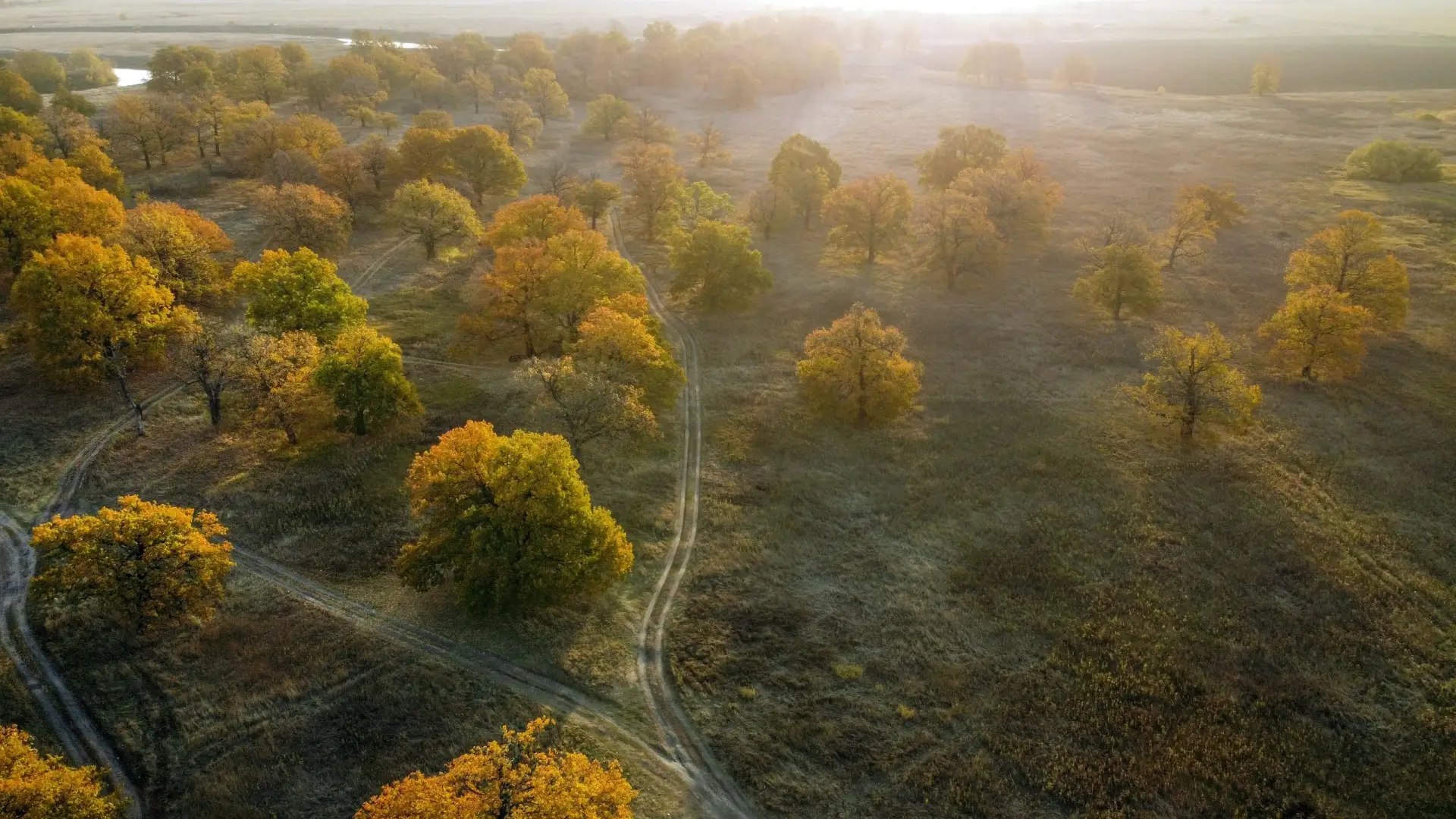 Фото: Андрей Абакумов