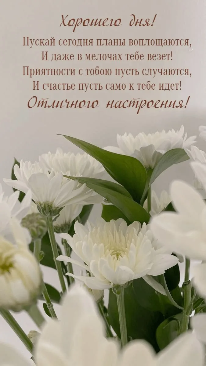 Чудесного дня! 🌸