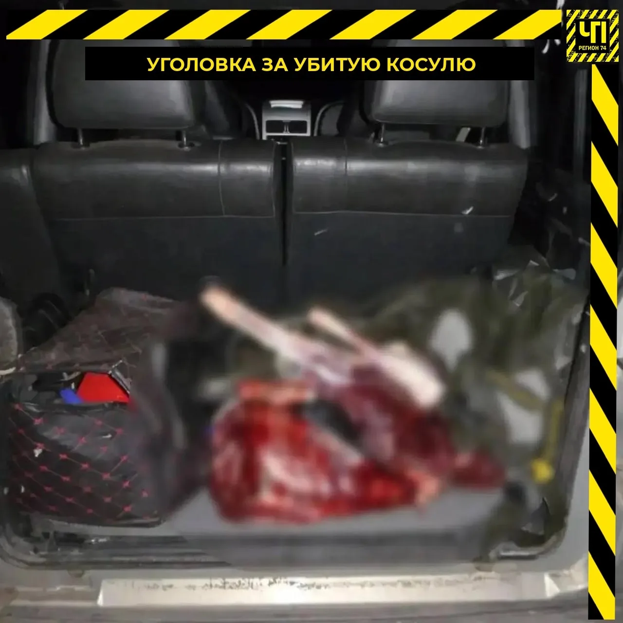 🚫 Жителю Челябинской области грозит уголовка за убитую косулю
