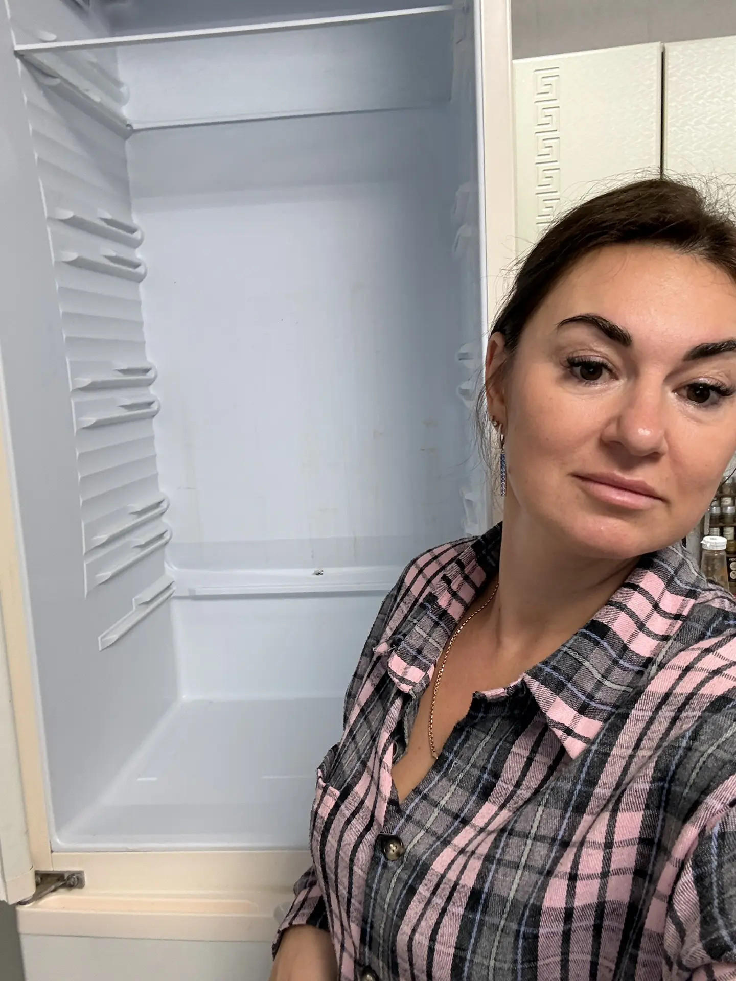 Вымыла плиту и раковину, разморозила и вымыла холодильник в летней кухне. Сейчас отвари...
