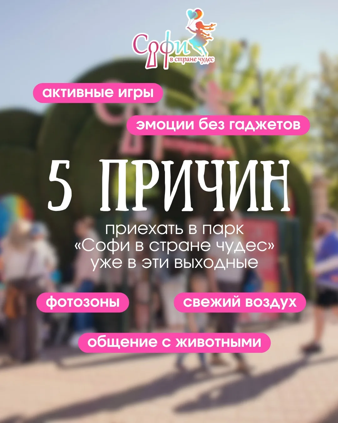 Собрали 5 причин, почему стоит приехать к нам уже в эти выходные — листайте карусель и выбирайте сво
