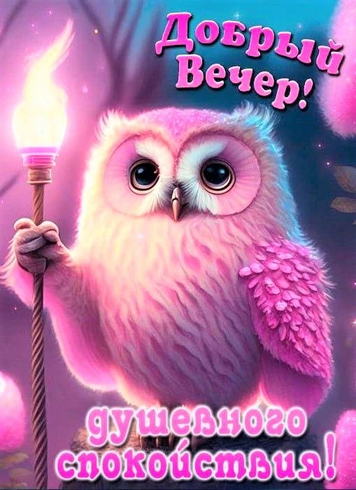 Хорошего вечера!