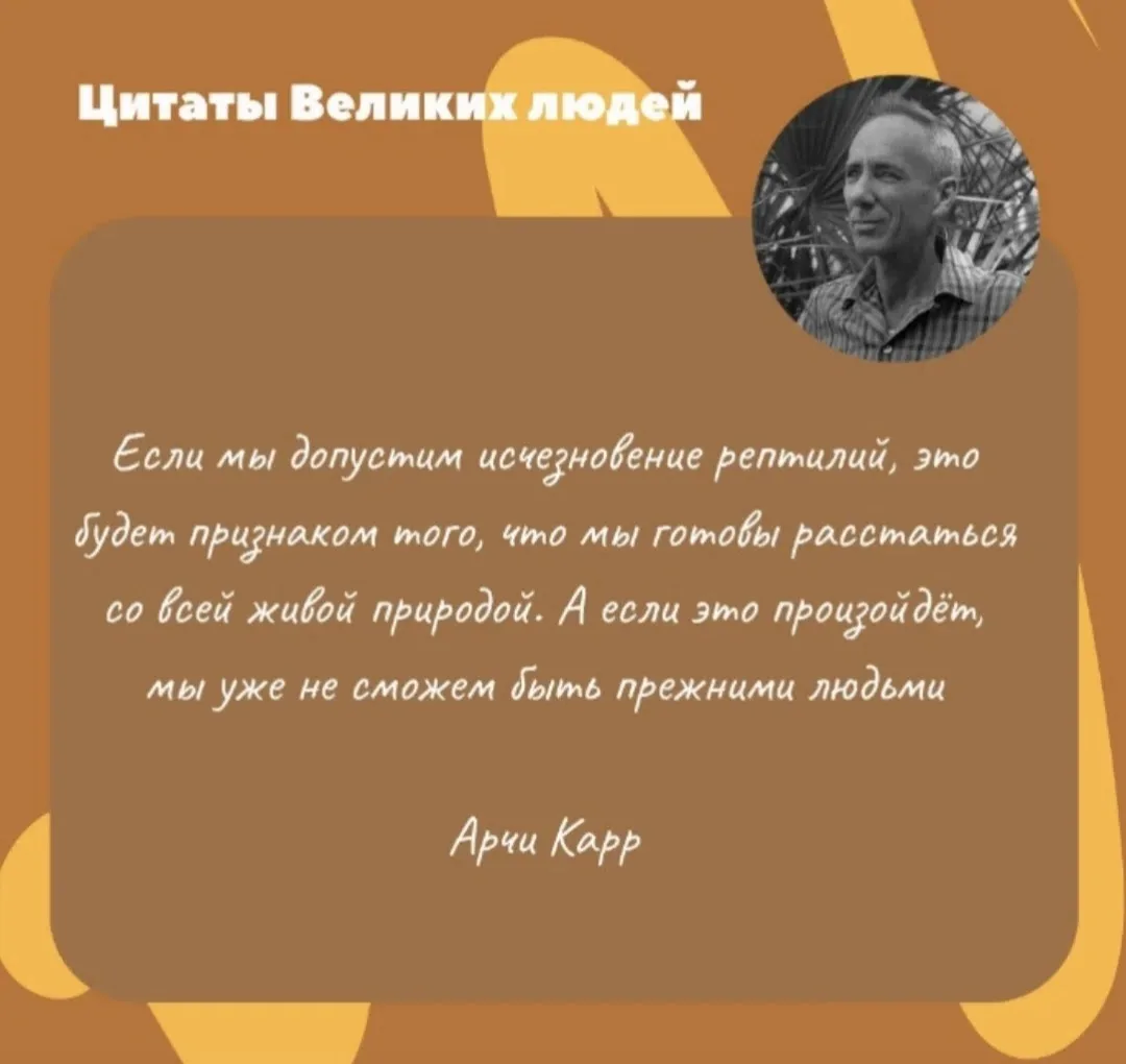 Сегодня отмечается Международный день морской черепахи – праздник, посвященный сохранению древнейших