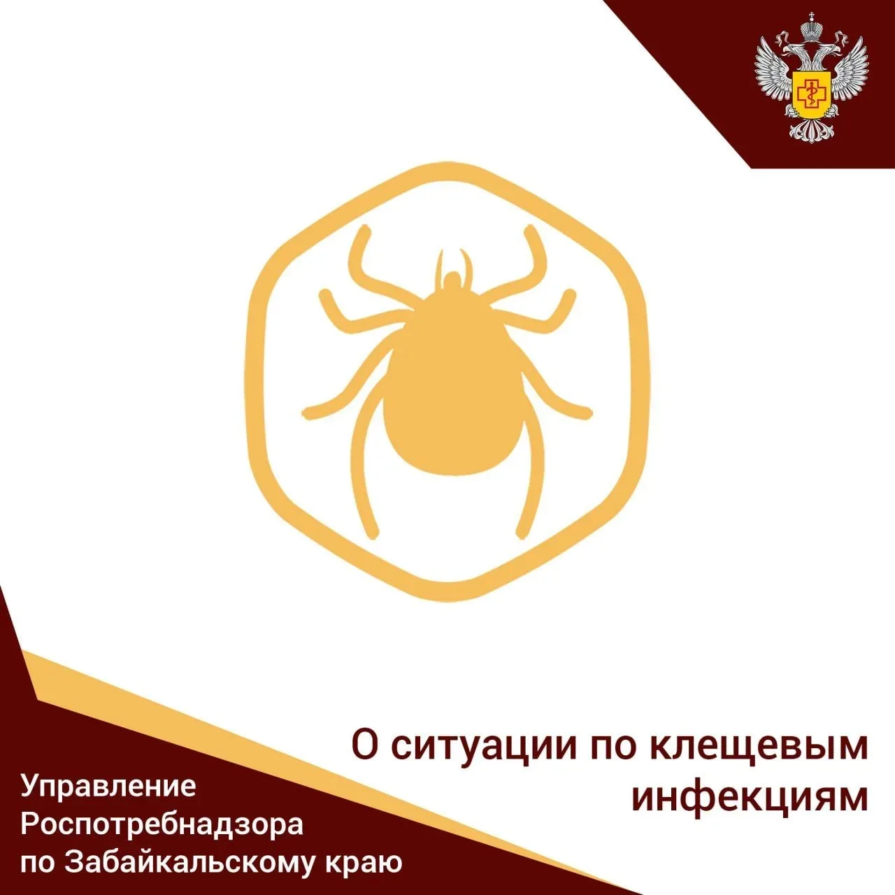 ⚡️ Роспотребнадзор мониторирует ситуацию с заболеваемостью КВЭ и укусами клещей на терр...