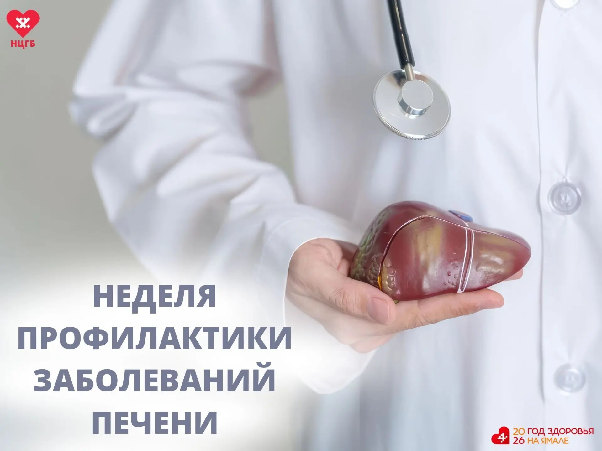 На этой неделе заботимся о печени – Неделя профилактики заболеваний главного фильтрующего органа при