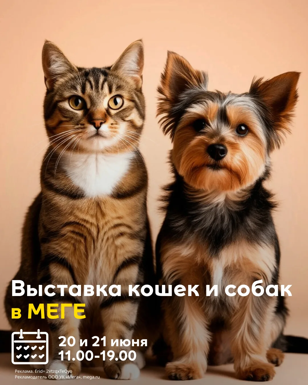 А у нас продолжается выставка кошек и собак, котят и щенков! 

Если еще не был — обязательно приходи