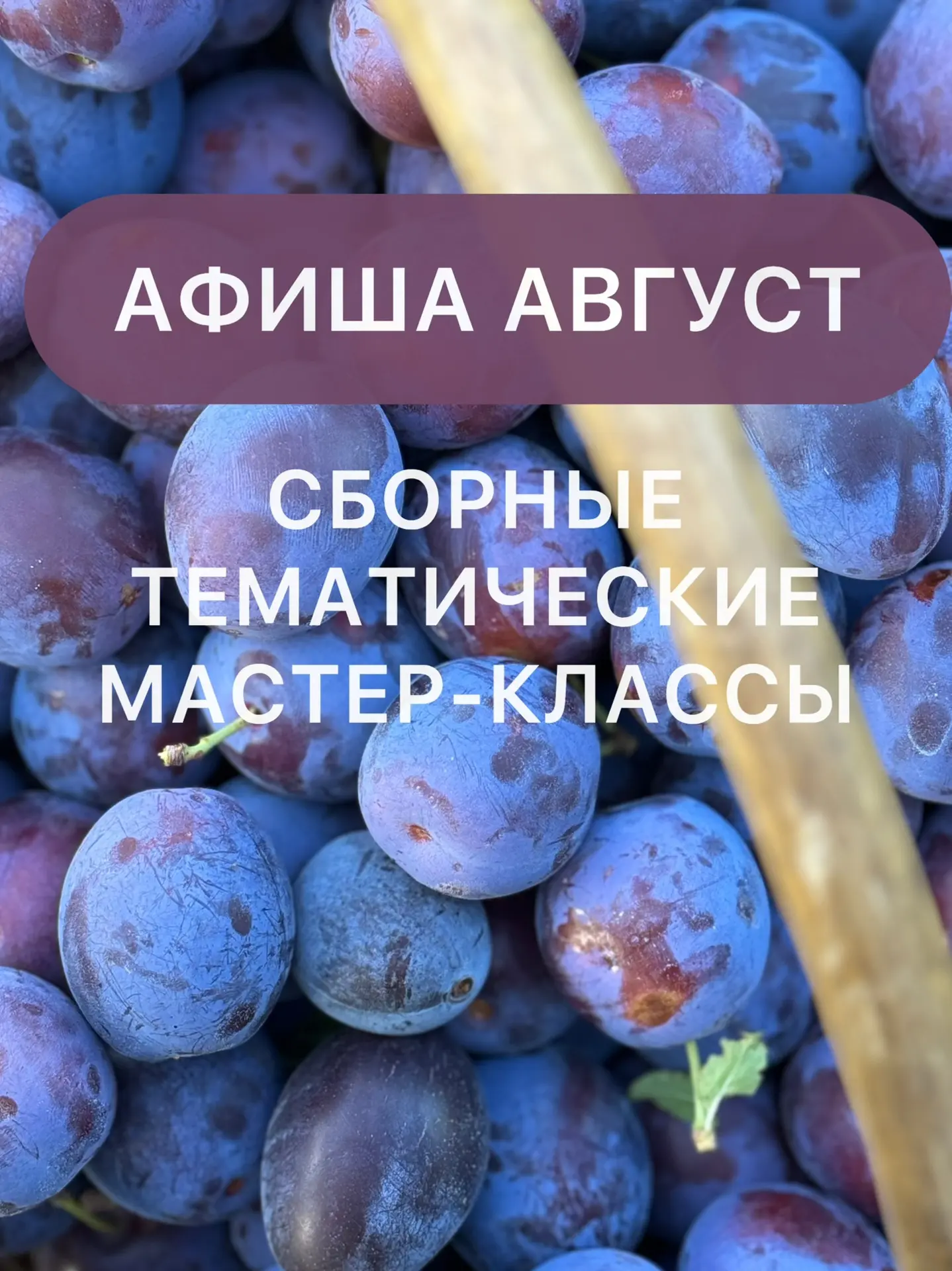 АФИША АВГУСТ