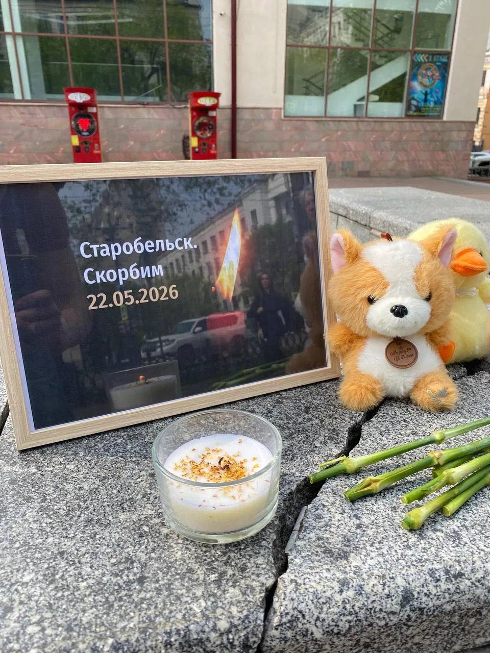 Хабаровчане организовали стихийный мемориал в память о жертвах трагедии в Старобельске.  Он появился