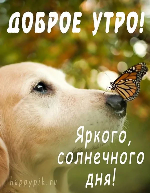 КРАСИВЫЕ ОТКРЫТКИ ТУТ💖
