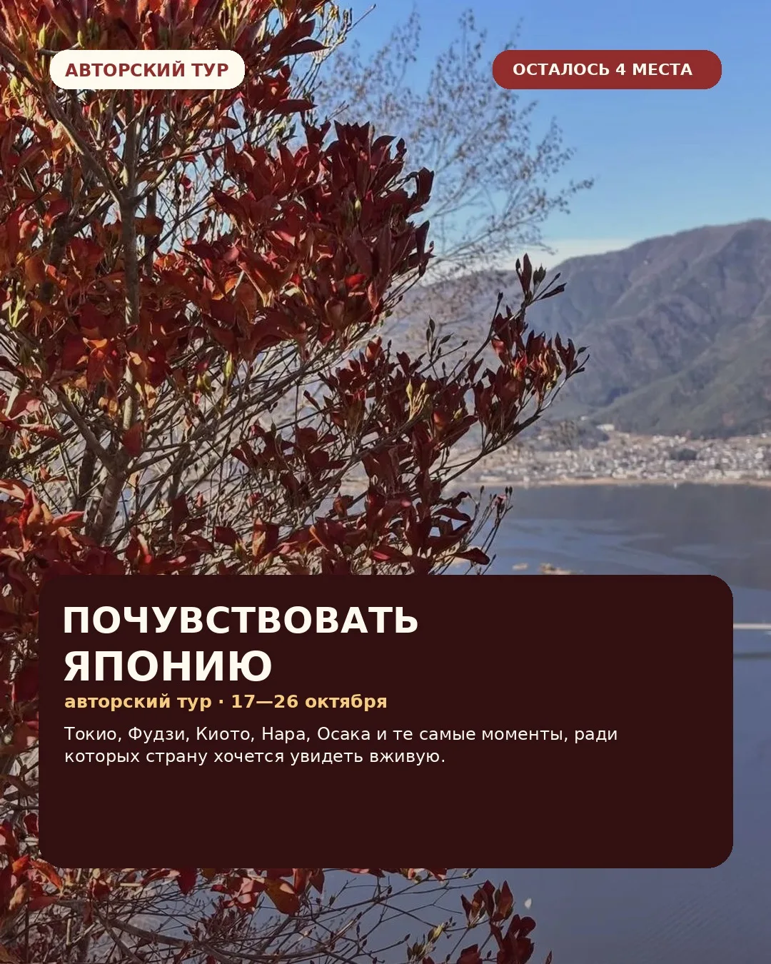Почувствовать Японию осенью 🍁