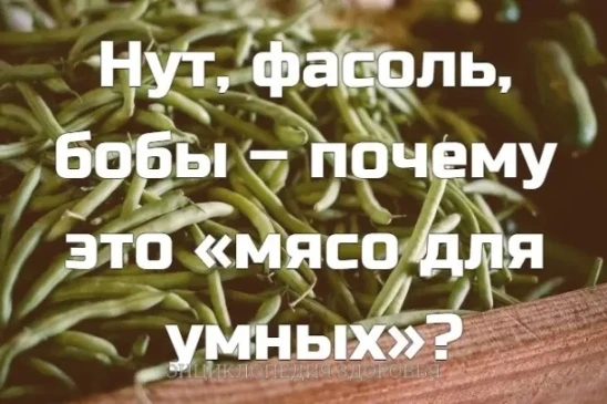 Нут, фасоль, бобы – почему это «мясо для умных»?
Помогают худеть, наполняют энергией, снижают холест
