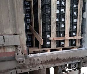 ПОД КОНТРОЛЕМ РОССЕЛЬХОЗНАДЗОРА ЧЕРЕЗ ЧЕЛЯБИНСКИЙ ПУНКТ ПРОПУСКА ВВЕЗЕНО ОКОЛО ТЫСЯЧИ Т...