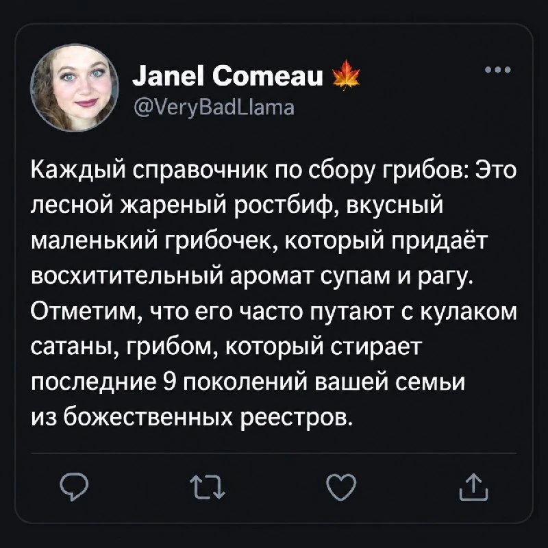 ✨ Одна маленькая оговорка в справочнике грибника