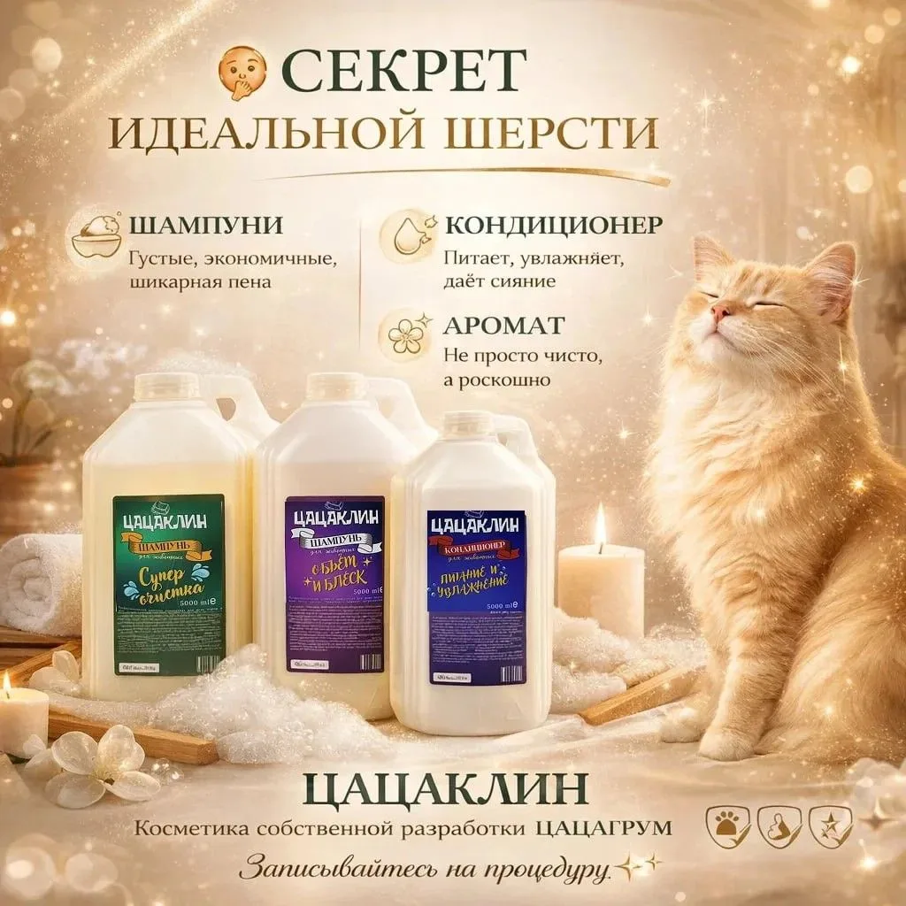 Идеальная шерсть с ЦАЦАКЛИН!
