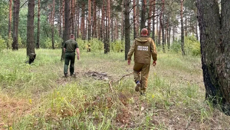 💥 В Костромской области запретили ходить в лес и жечь костры  Из-за прогноза жаркой погоды вводят ст