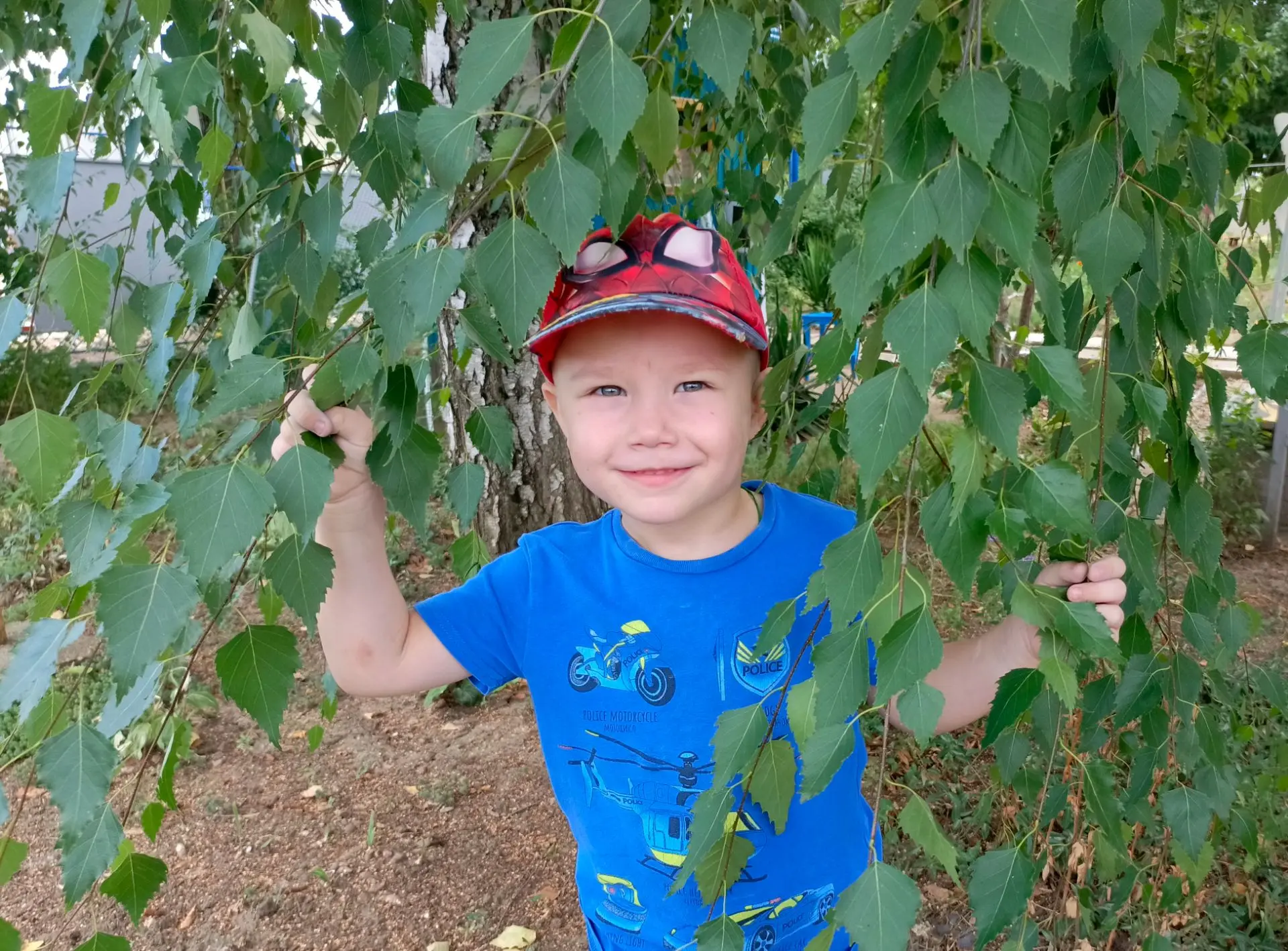 🌳🌳🌳Доброе утро 🌳🌳🌳