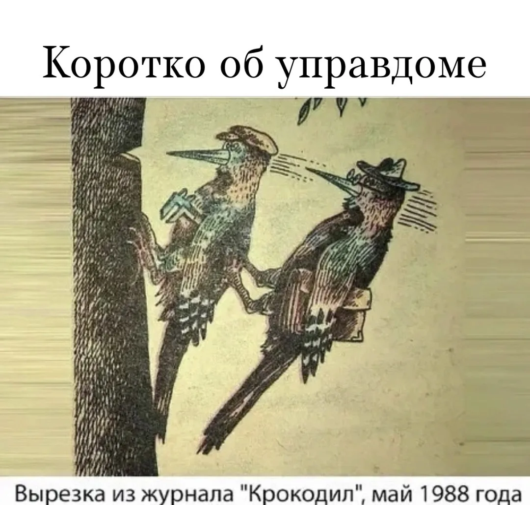 АКТУАЛОЧКА… (навеяно дома ай)