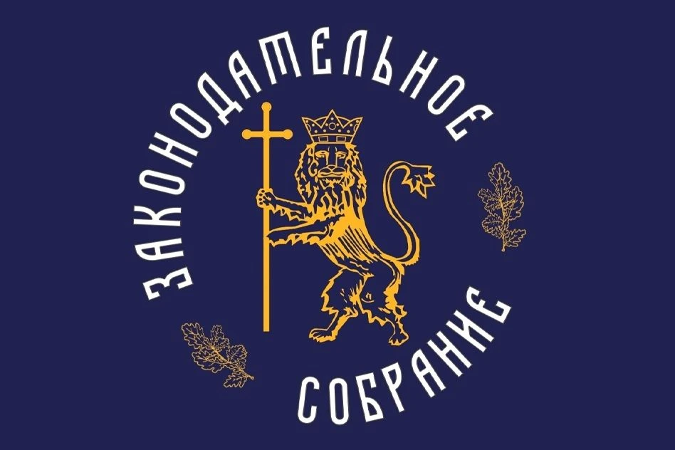 Владимирские парламентарии поддержали льготы для детей, пострадавших от обстрелов ВСУ ⭐️

Депутаты З