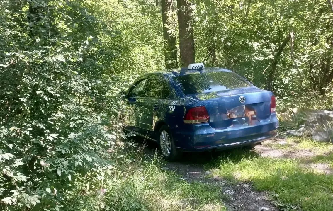 В Воронежской нагорной дубраве во время планового рейда поймали водителя, нарушившего р...