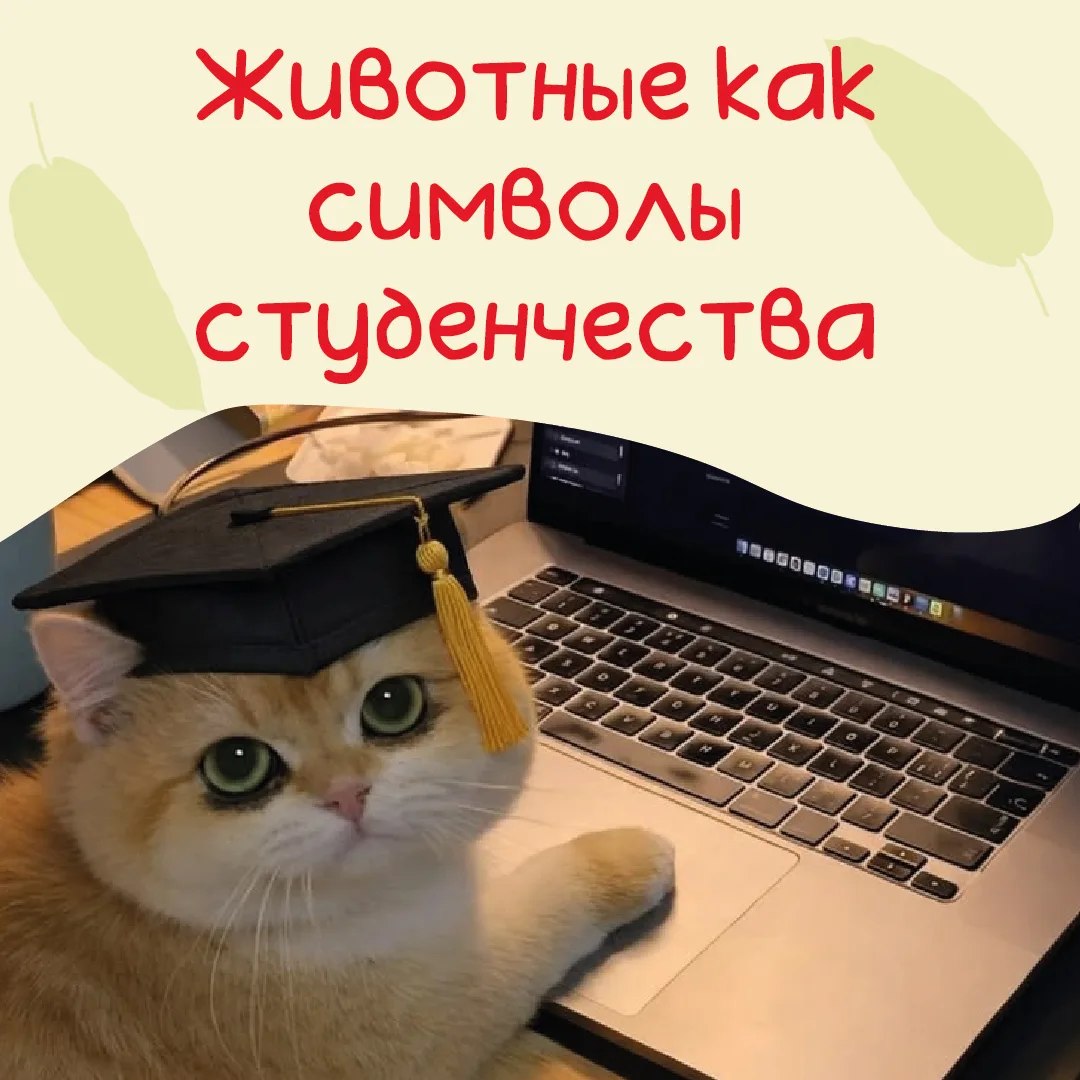 🐾 4 октября - Всемирный день защиты животных