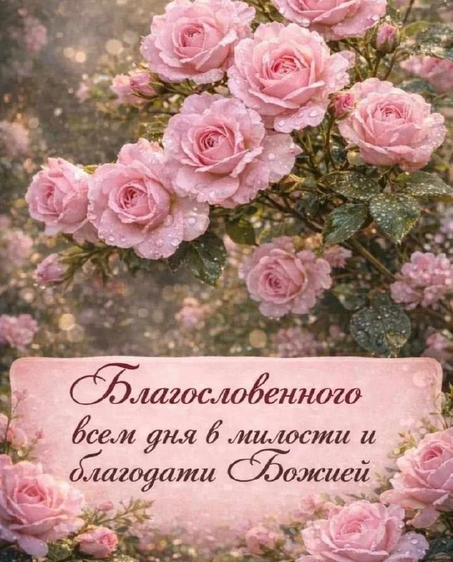 Изображение 1 к публикации «Православные открытки: поздравления с праздником, пожелания»