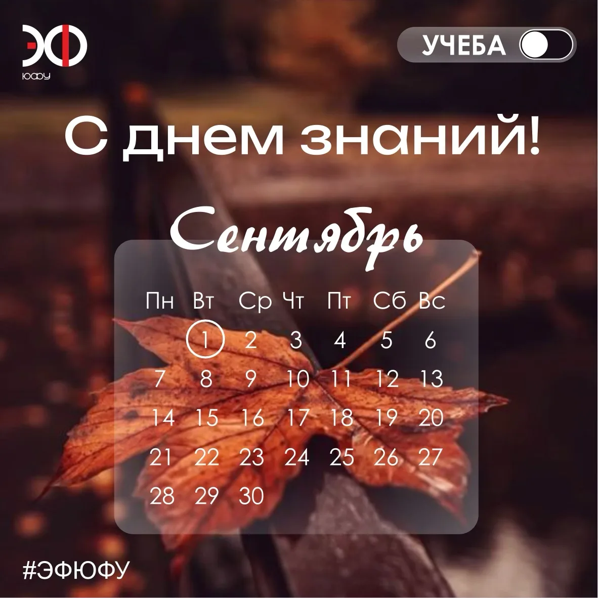 С ДНЁМ ЗНАНИЙ! 🍂