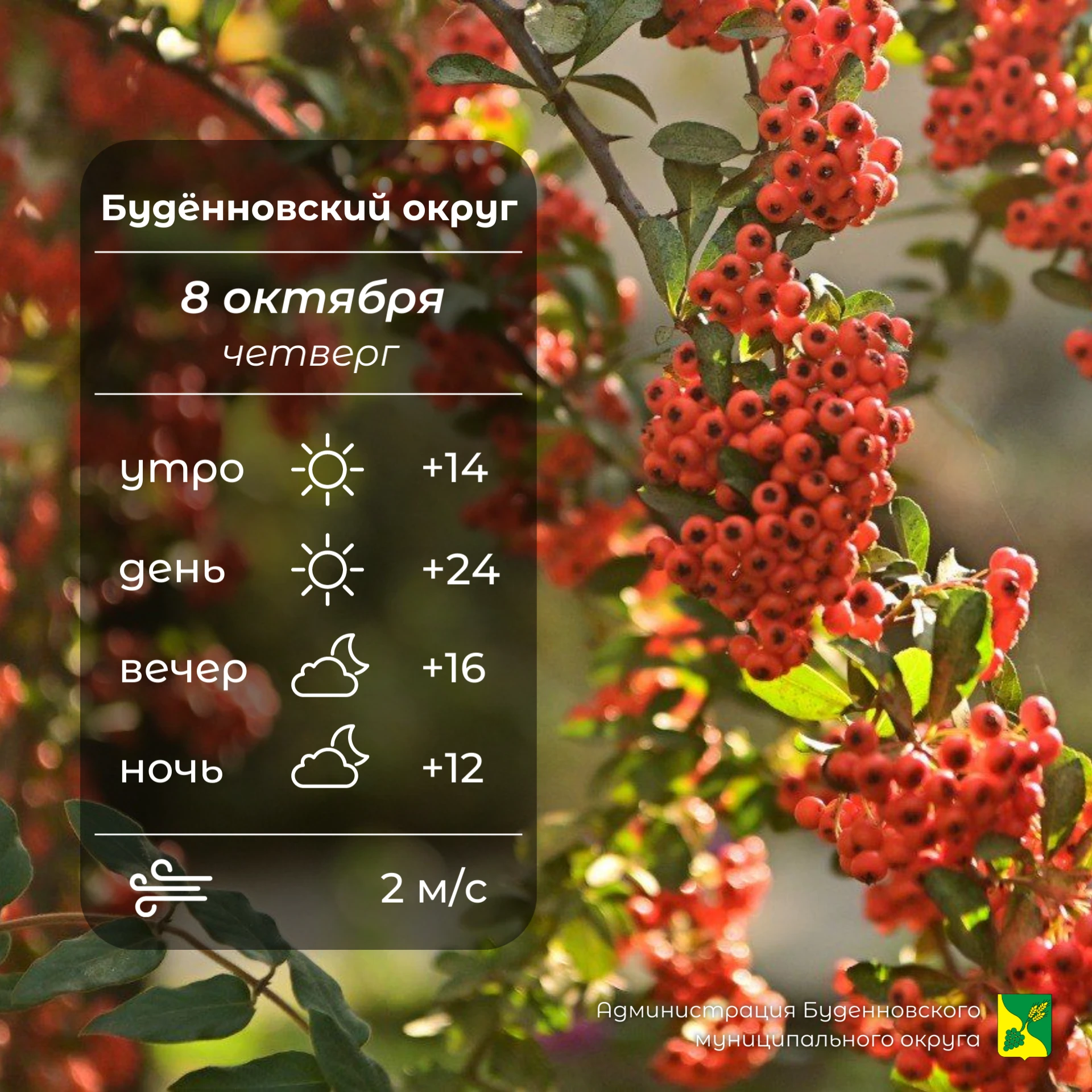 ☀️Сегодня в Буденновском округе малооблачно, без осадков. Температура воздуха +12…+24°....