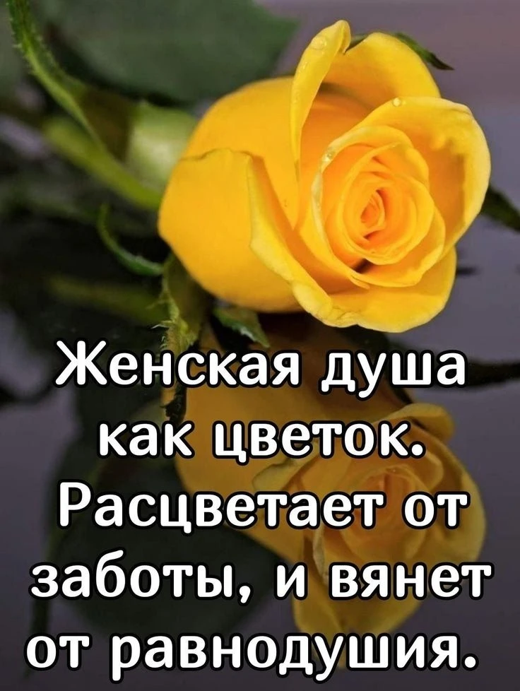 💛💛💛