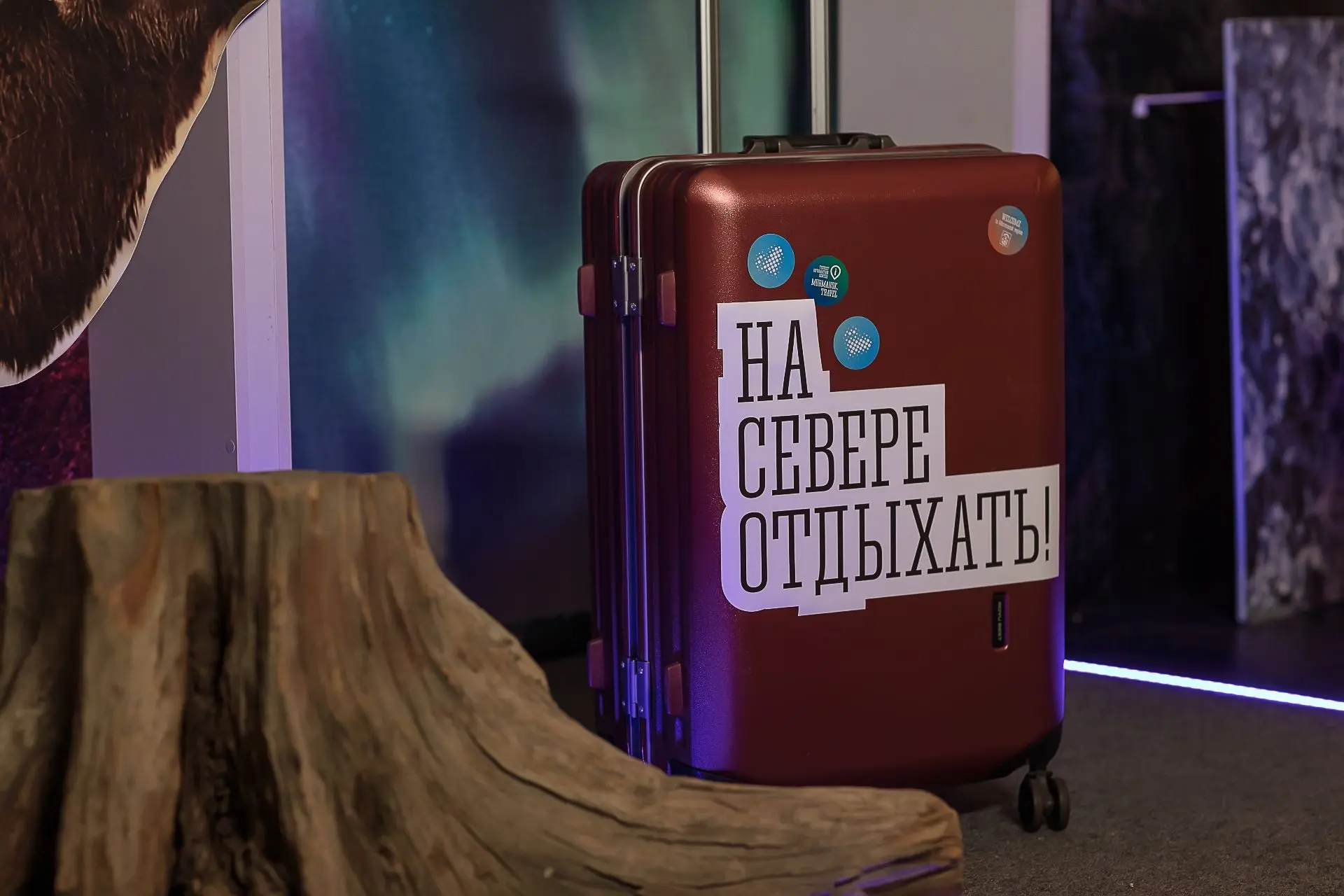 🎓 В Мурманске появится Школа арктического гостеприимства