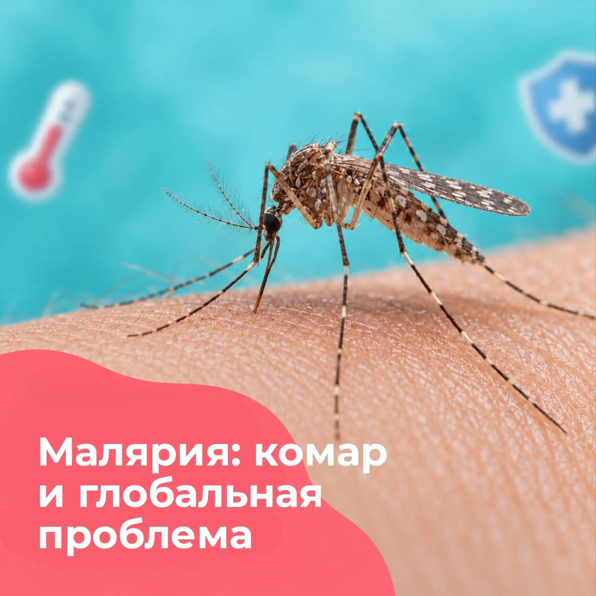 Малярия: комар и глобальная проблема