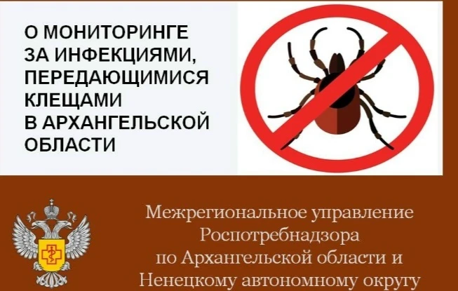 В Архангельской области появилась интерактивная карта клещей
