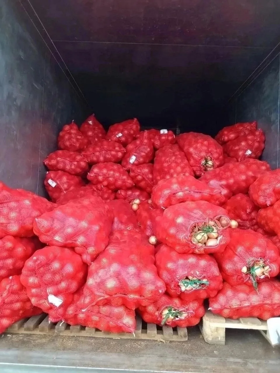 продается картофель красная Чувашия 37 рублей к.г.  на хранение, также лук Волгоград на...
