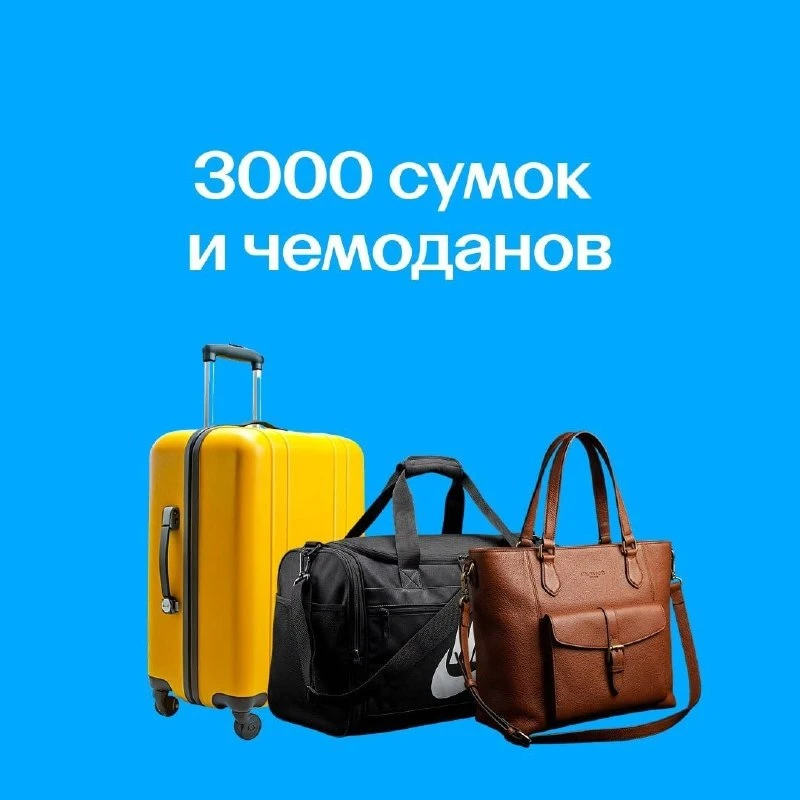 😱 В аэропорту Пулково пассажиры забыли 15 тысяч вещей! Среди находок — бензопила, жива...