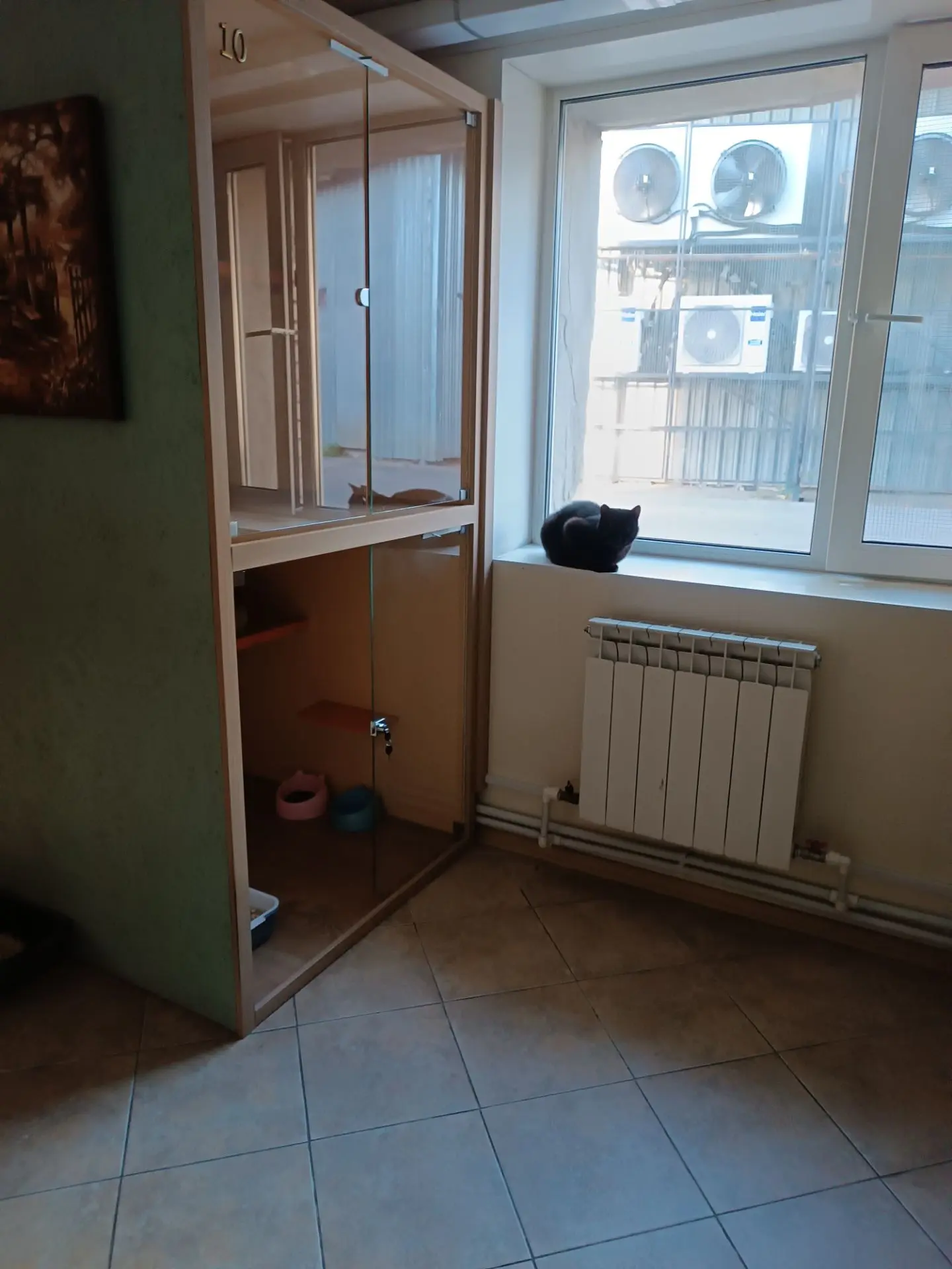 Наши девочки в ЗооДоме тоже в полном порядке. Вечером собираются у окошек. А когда я ух...